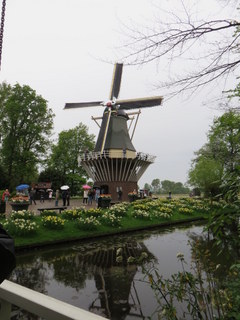 Keukenhof Gardens